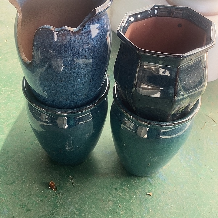 红糖12.13。。。。17.18.19。。。