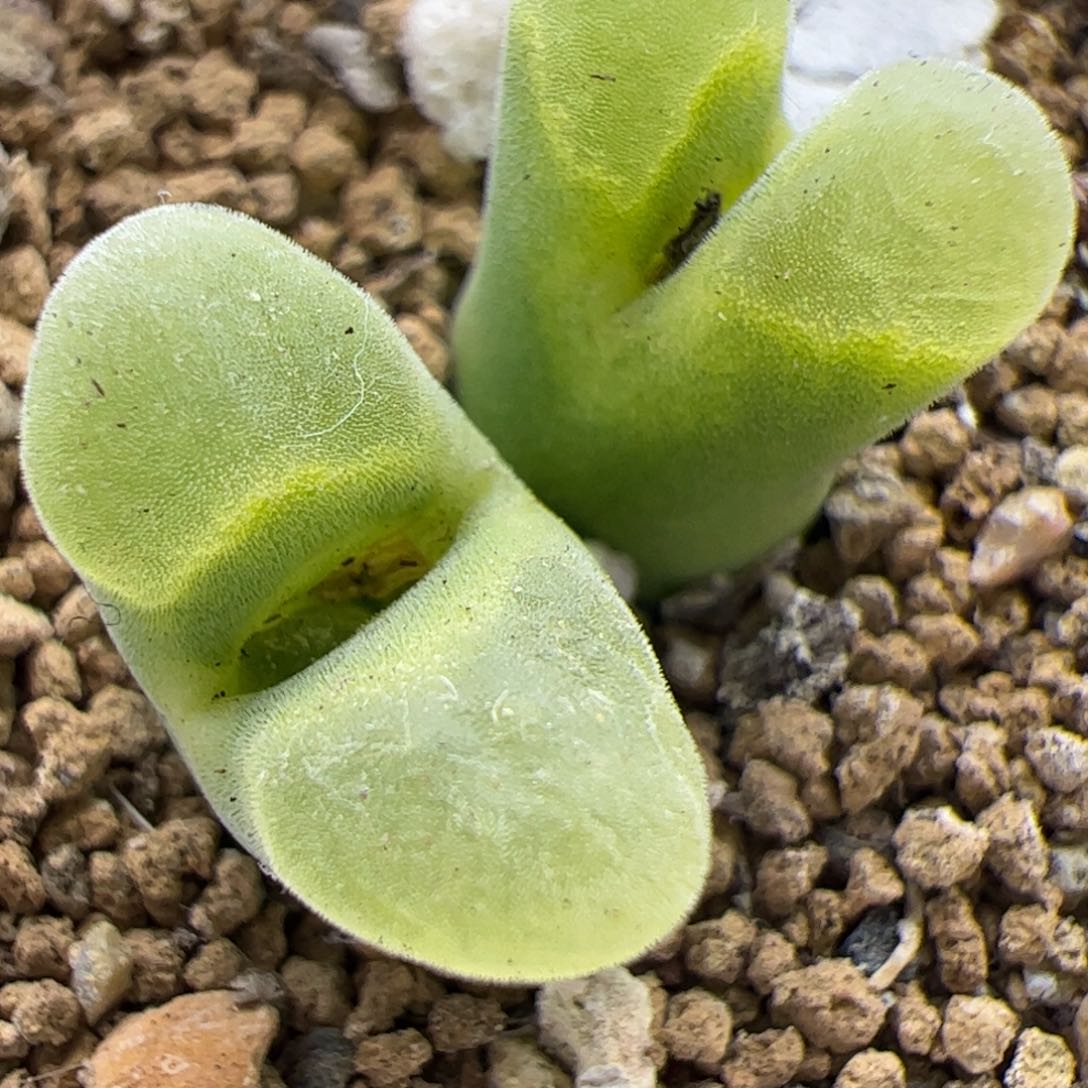 大家过年的23040