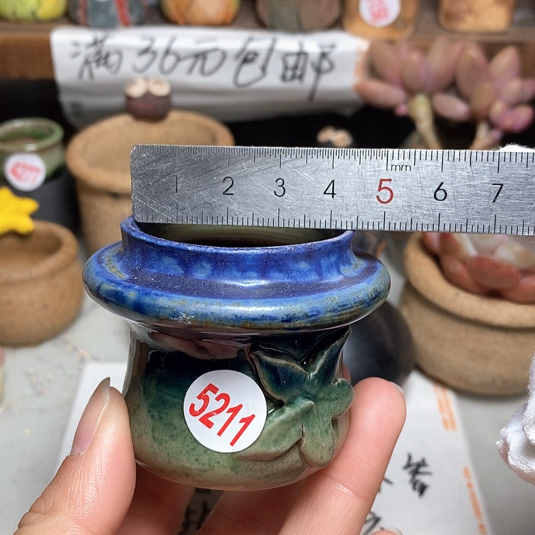 红陶拍5送一个小