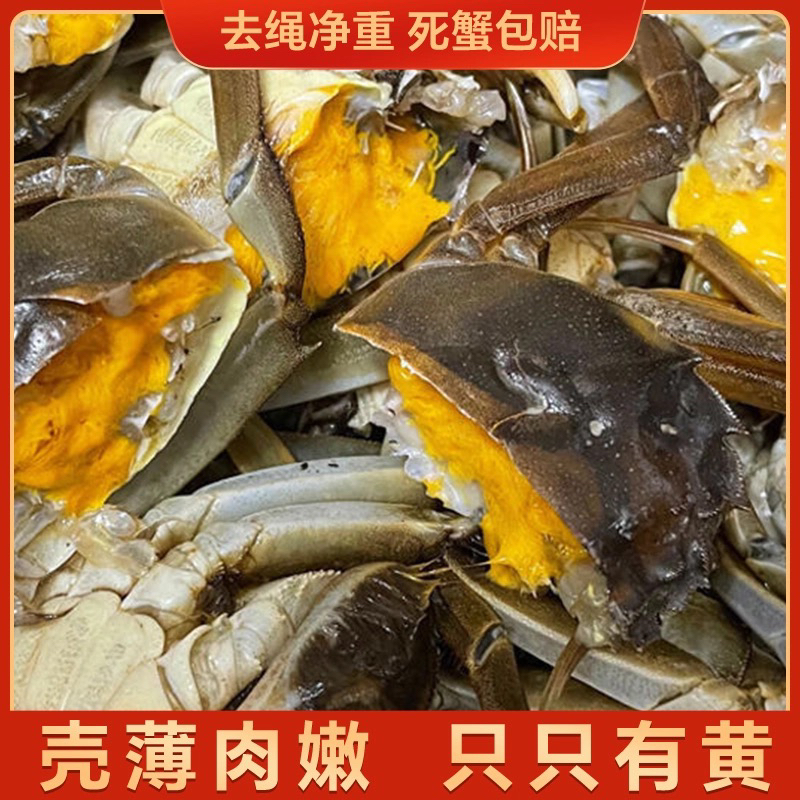 特大薄壳青壳蟹2.2-2.7两规格10/14只