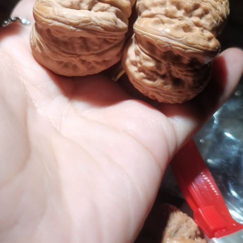 猴头核桃吊坠43元宝