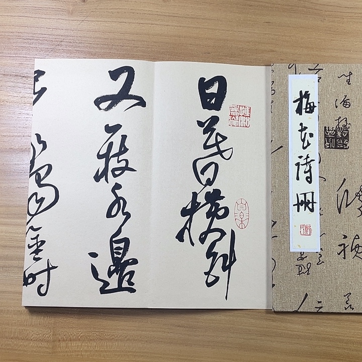 T***）书法中书协老师作品