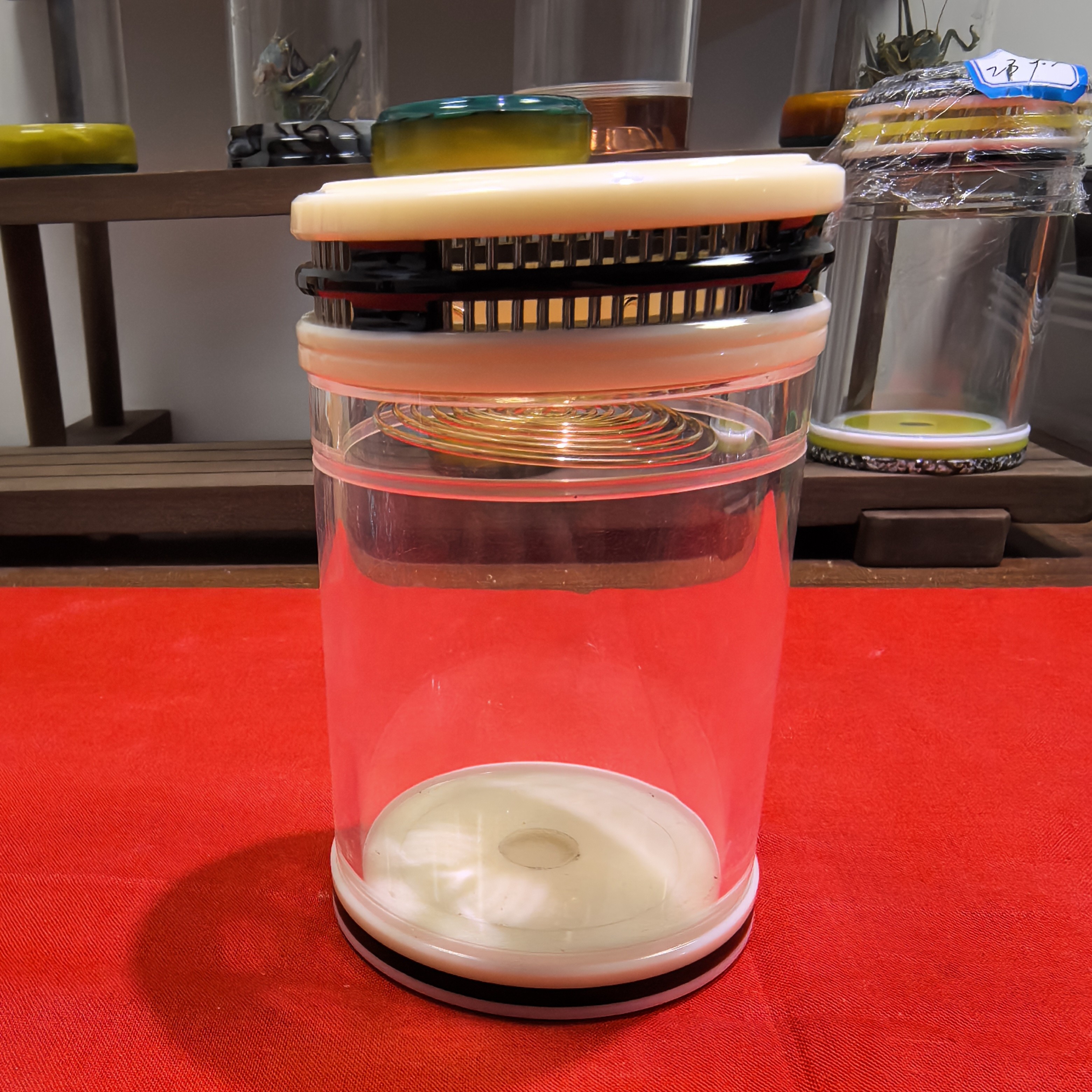 熊猫老谭七孔双开窗 60*100 带簧