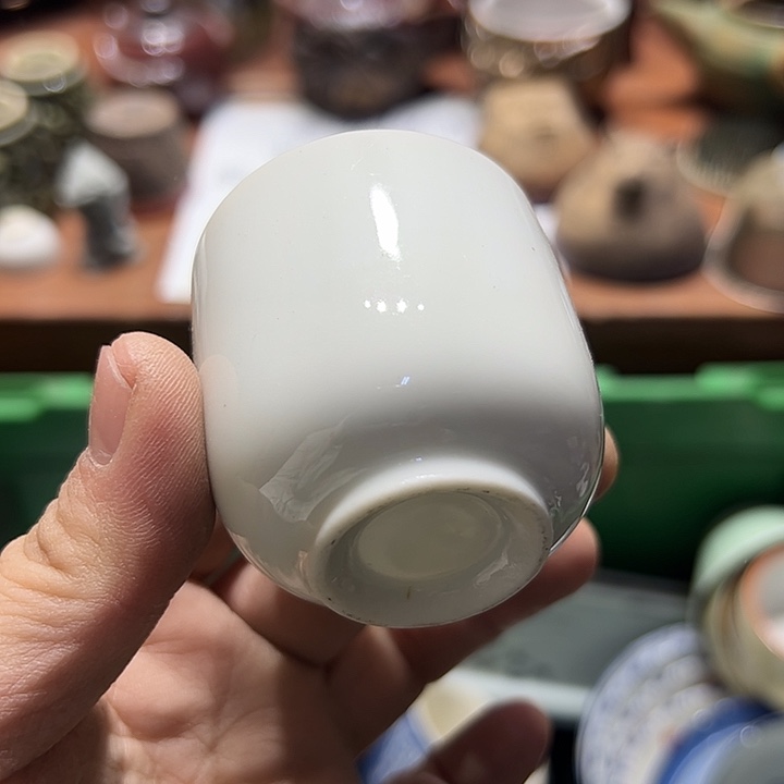 瓷片555555555555555555