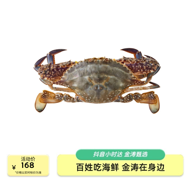 【鲜活】金涛甄选梭子蟹3斤（单只规格2-3两）10-15只鲜活发货海鲜梭子蟹同城【保鲜不保活】