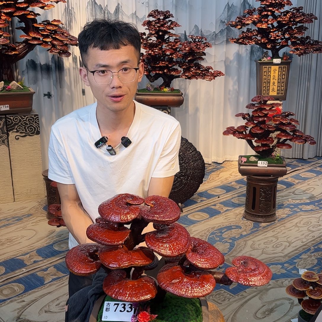 小***麻无花朵88888888888