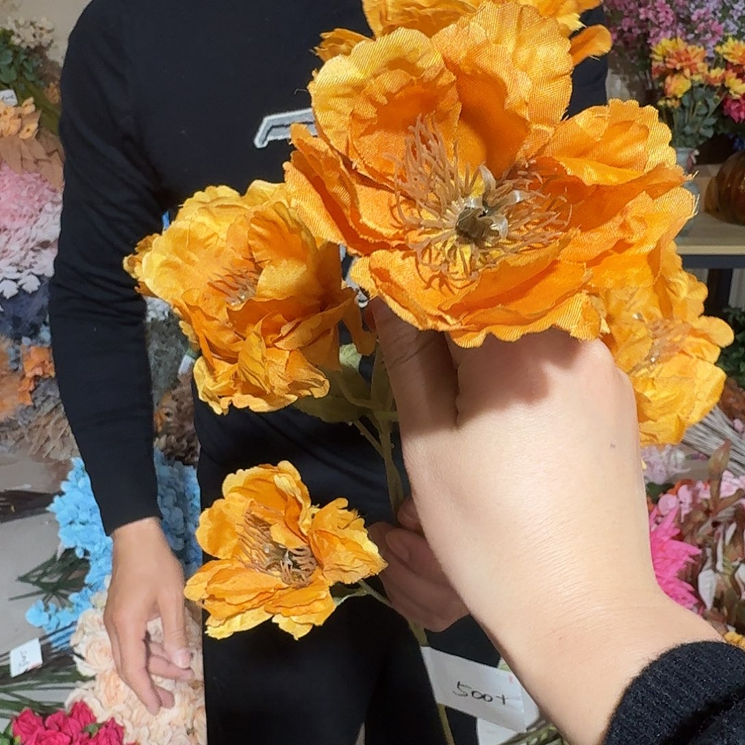 6头芙蓉橙色25枝装