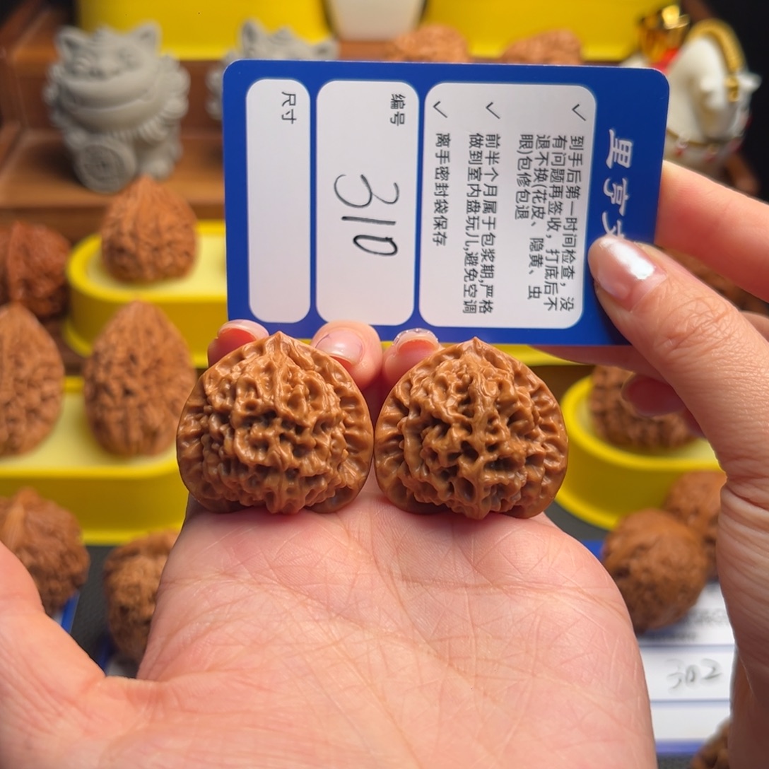 核桃310微修玄月34尺