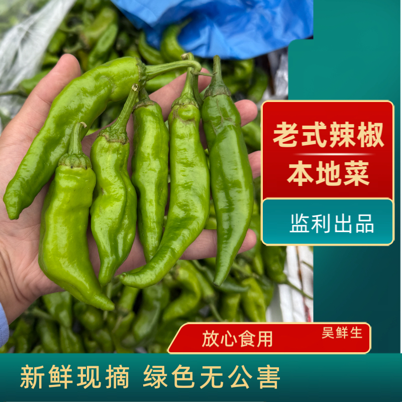 监利老式辣椒 炒菜香 园子菜 有辣味 三种辣椒随机发 或混合发
