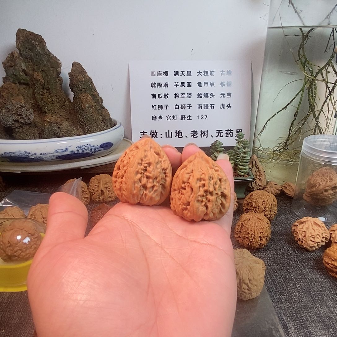 把件文玩核桃看****西红锦鲤文玩核桃