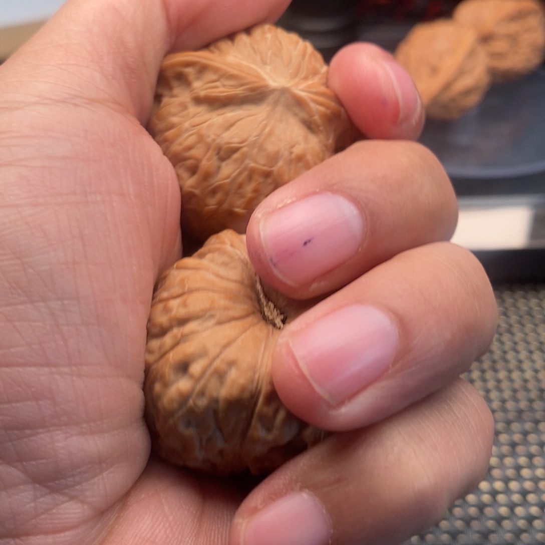 今***.大叶紫檀（黑酸枝木类）南瓜