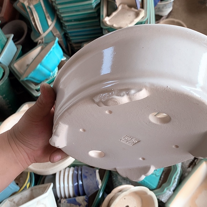 紫砂哈哈好开心哦？优秀