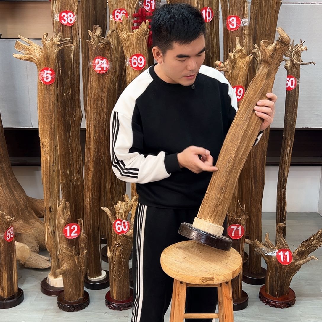 沉香摆件海南沉香摆件