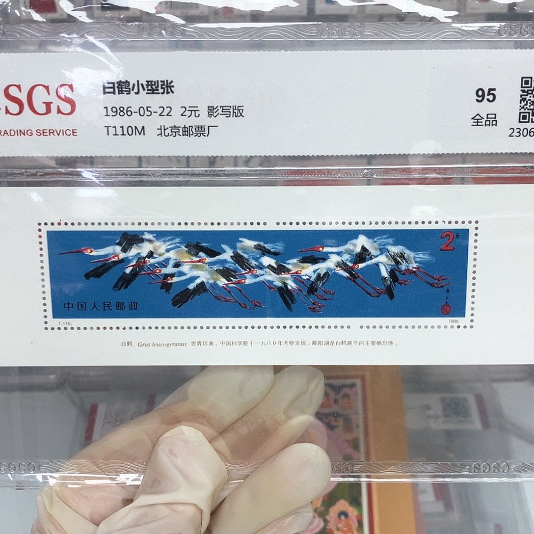 1986白鹤张评级原胶全品