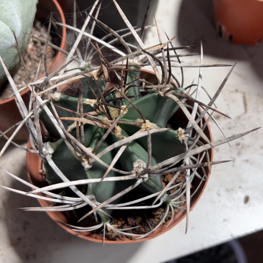 吾***美哈哈哈哈哈哈哈哈哈哈哈哈哈哈