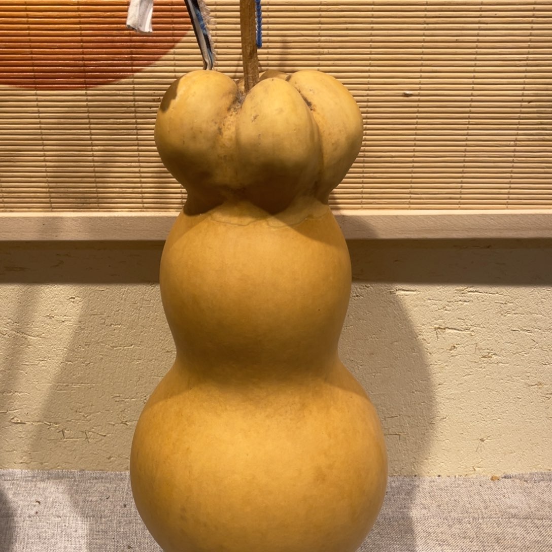 ?***？仿木不包邮不保龙头