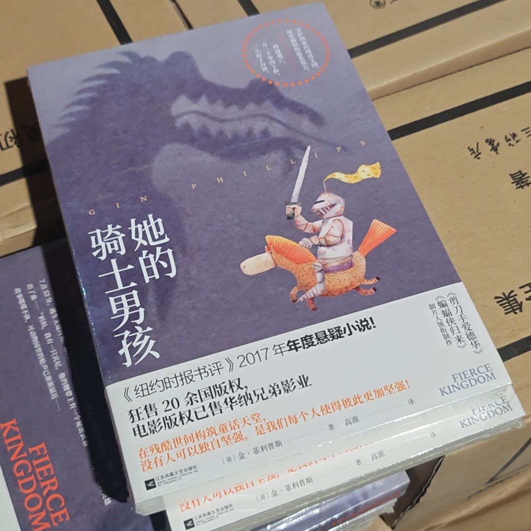 她的骑士男孩平装塑封库存书