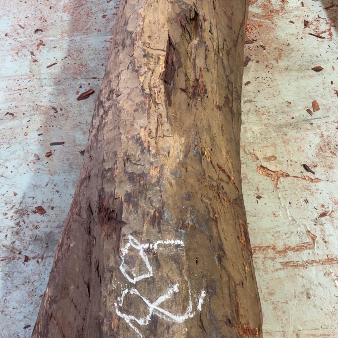 九***天一物一拍血檀编码489/517