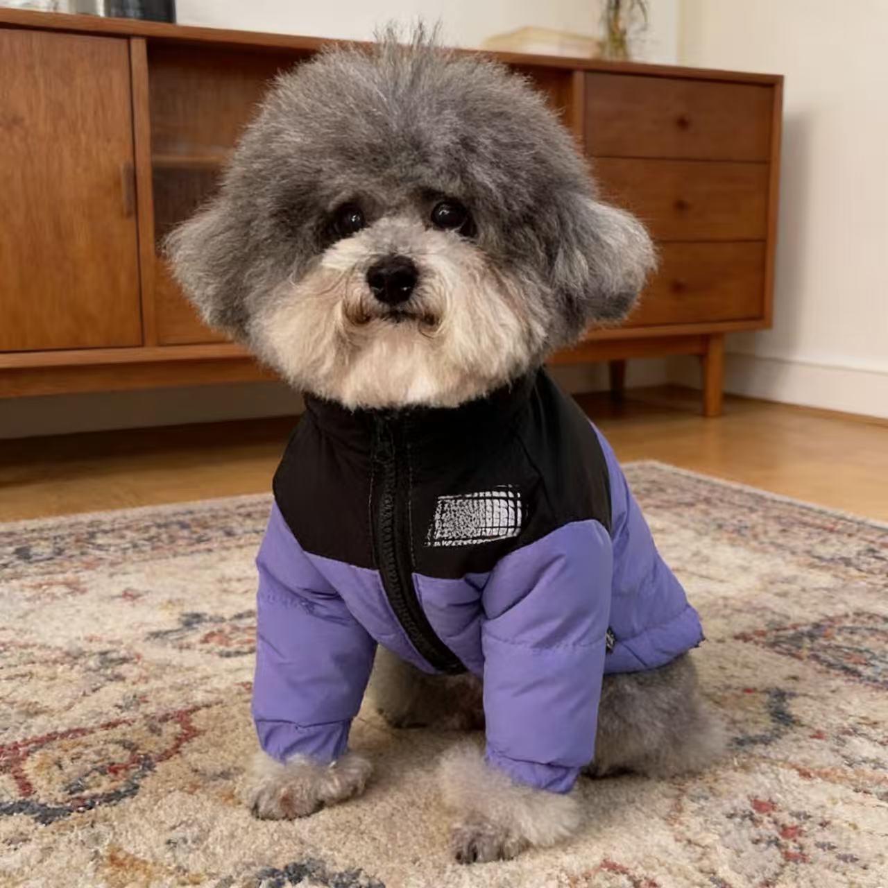 狗面狗狗衣服冬季比熊泰迪博美小型幼犬保暖冬天宠物保暖棉衣秋冬