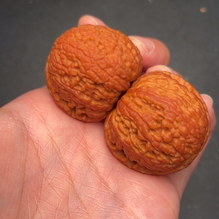 秦岭野生核桃文玩