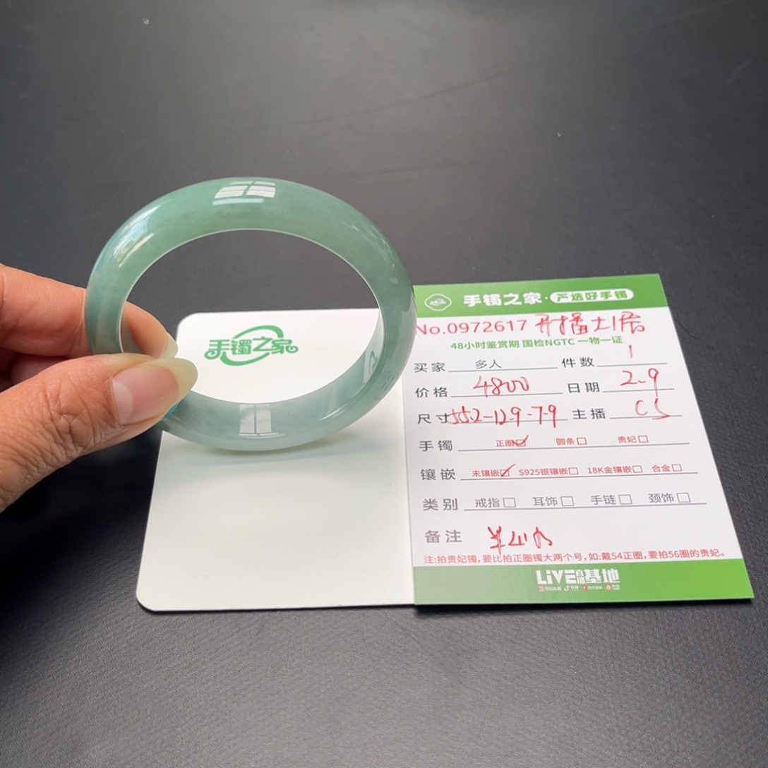 翡翠手镯未镶嵌多人