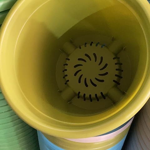 树脂四季4号微瑕果绿无托8个