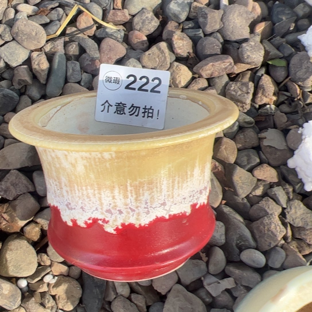 内口10 中号景德镇手工盆