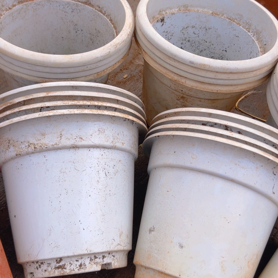 白硬圆盆25口径20.5高 4个