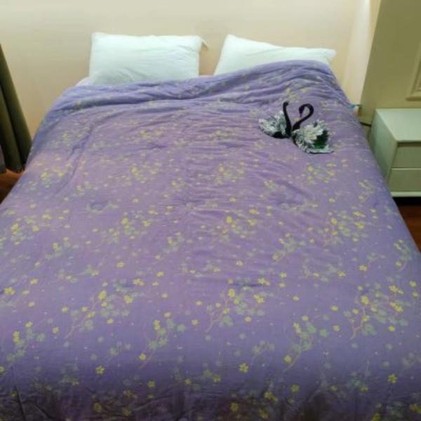 【R大豆被-朴华梅-紫-200】200*230cm高端恒温保暖被