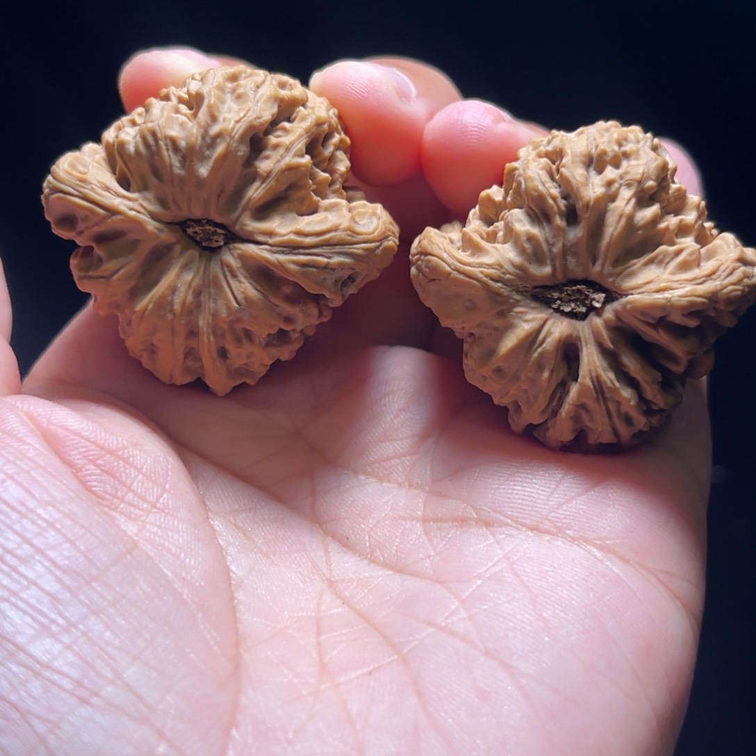 文玩核桃把件p****e南疆