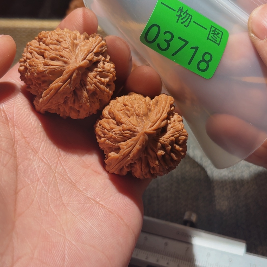 文玩核桃把件蚂蚁王