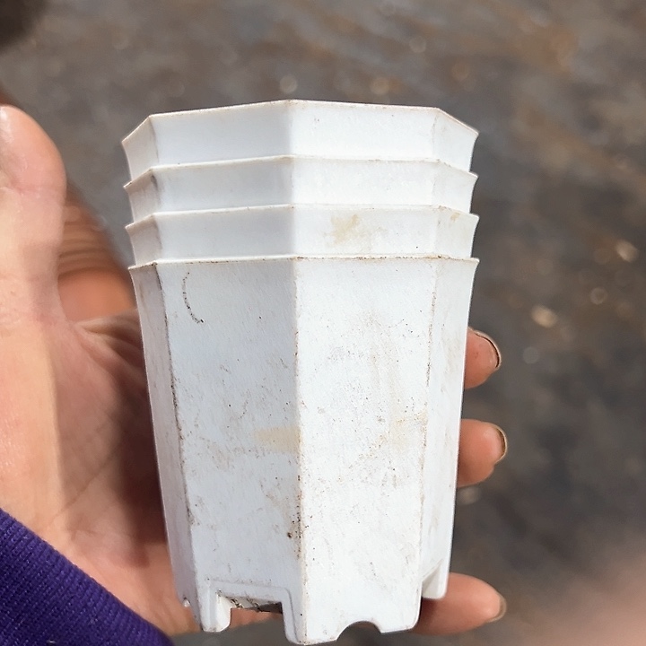 塑料口径7厘米白八角一组40个