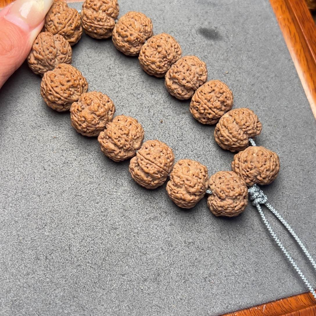 菩提32号尼泊尔大金刚19-20小肉球