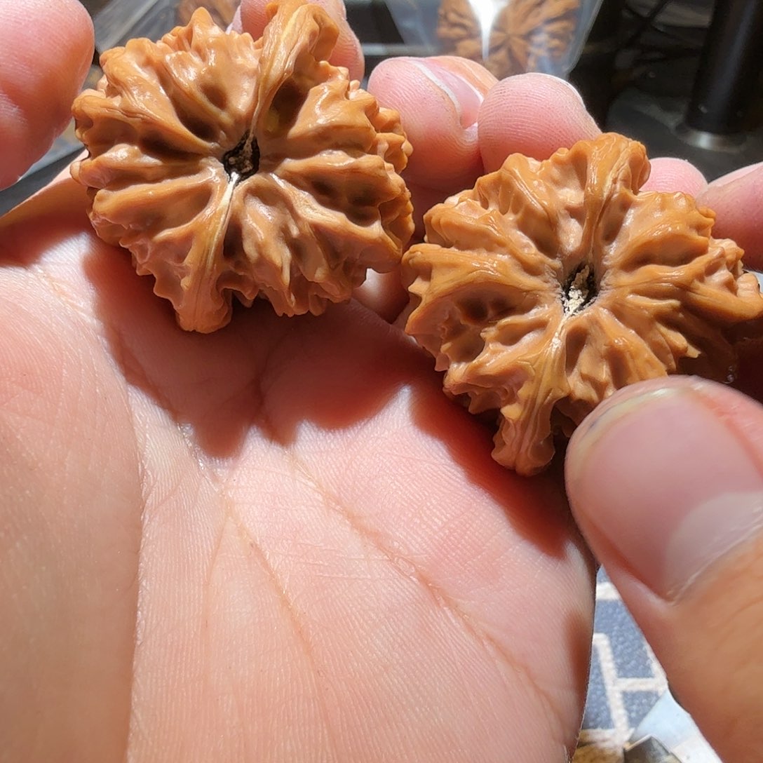 文玩核桃把件曹大龙