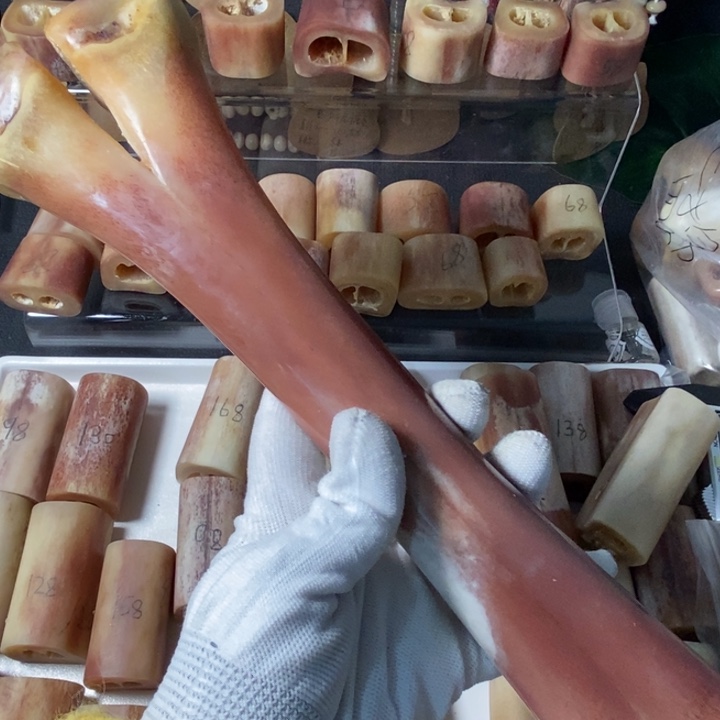 大叶紫檀（黑酸枝木类）