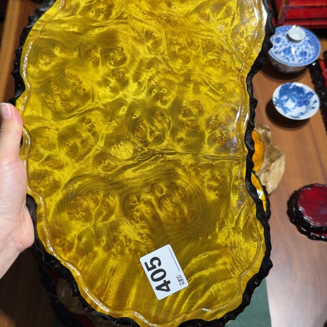 木黄金樟干泡bbbnn