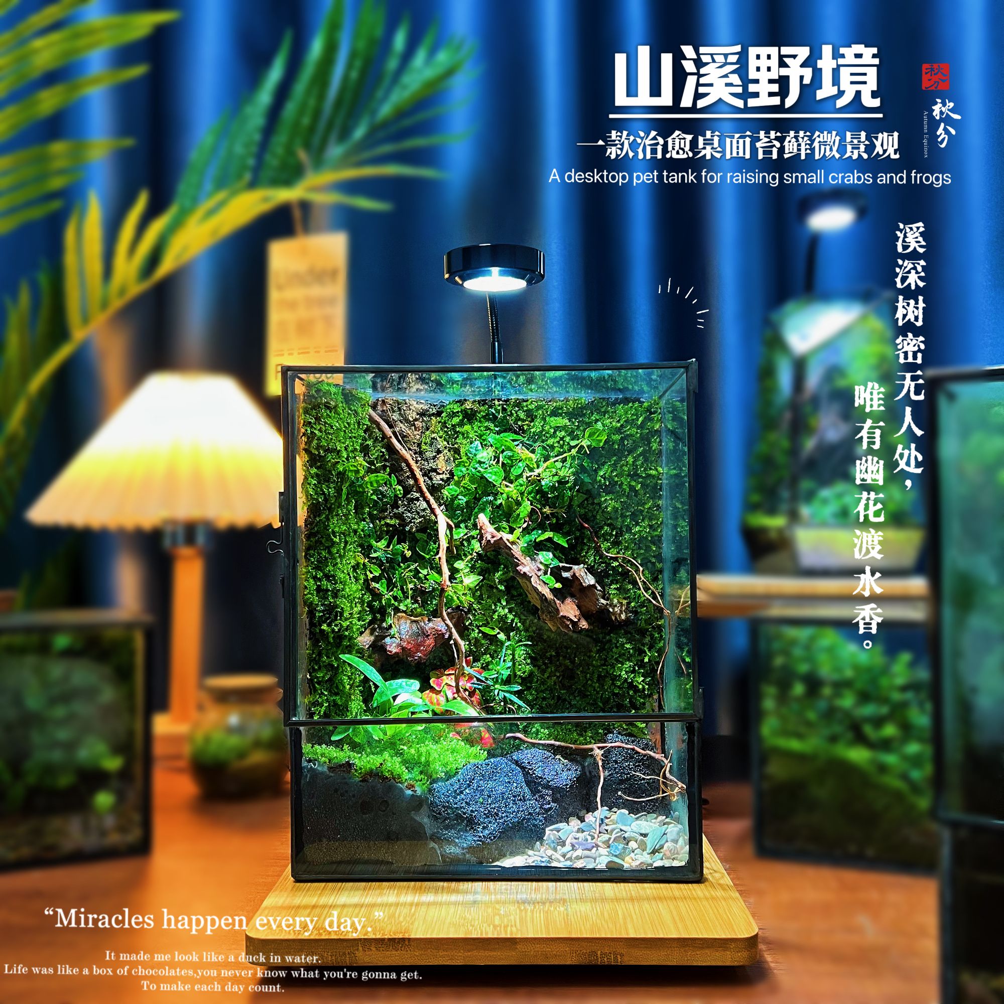 【山溪野境】生态桌面苔藓微景观养树蛙鱼蟹成品造景缸懒人好养