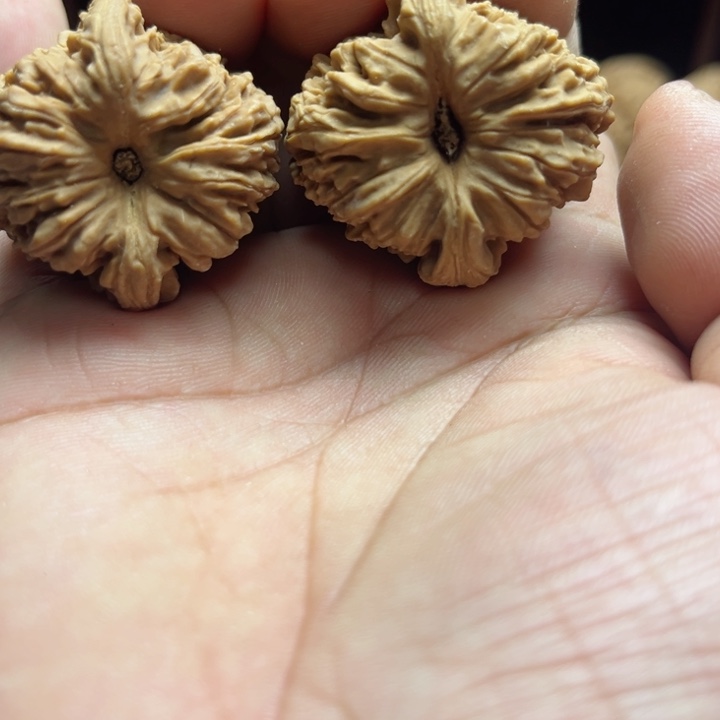 完全开放哇****卡南疆石