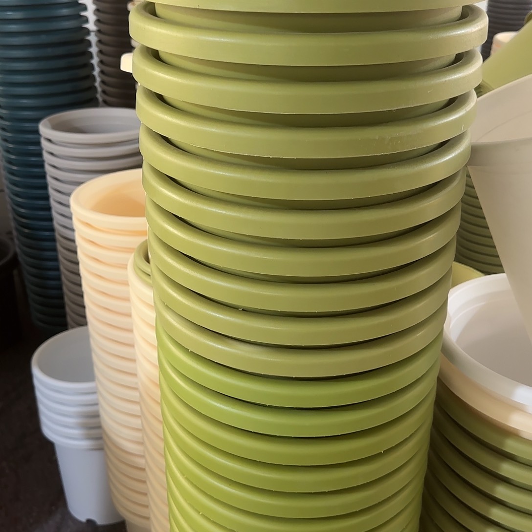 微瑕7号10个无托，果绿