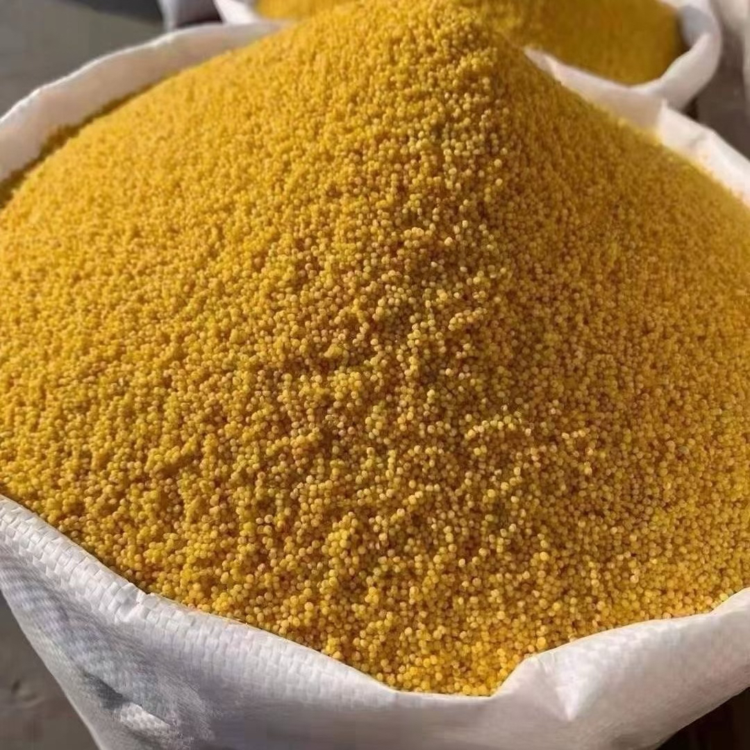 【花花专属】米脂现磨新小米农家旱地小米煮粥粘稠有米香养胃油糯