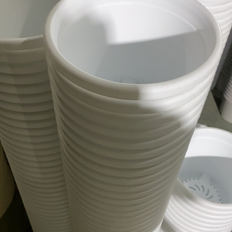 树脂四季2号纯白无托12个