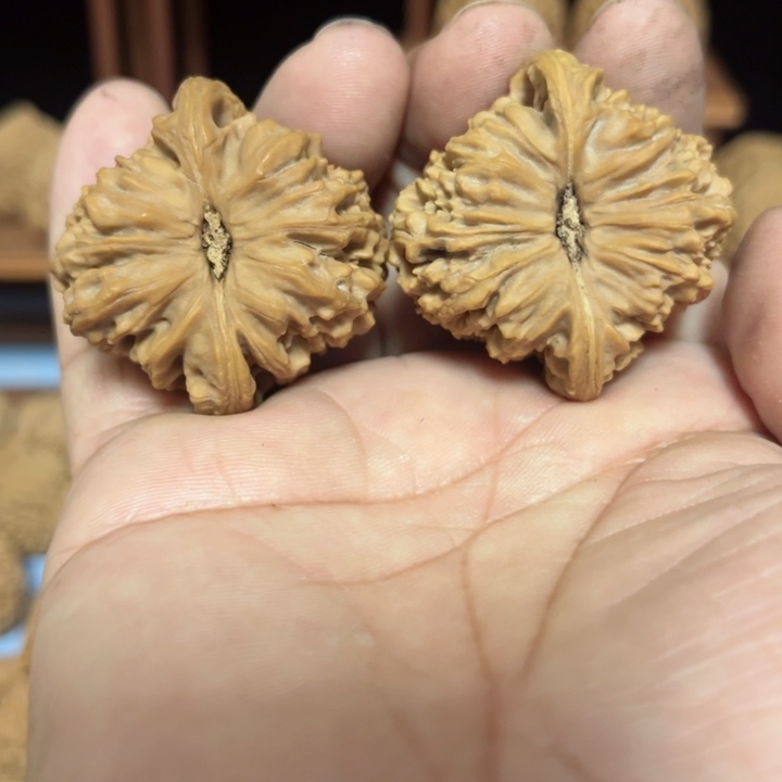 完全开放云***地南疆石