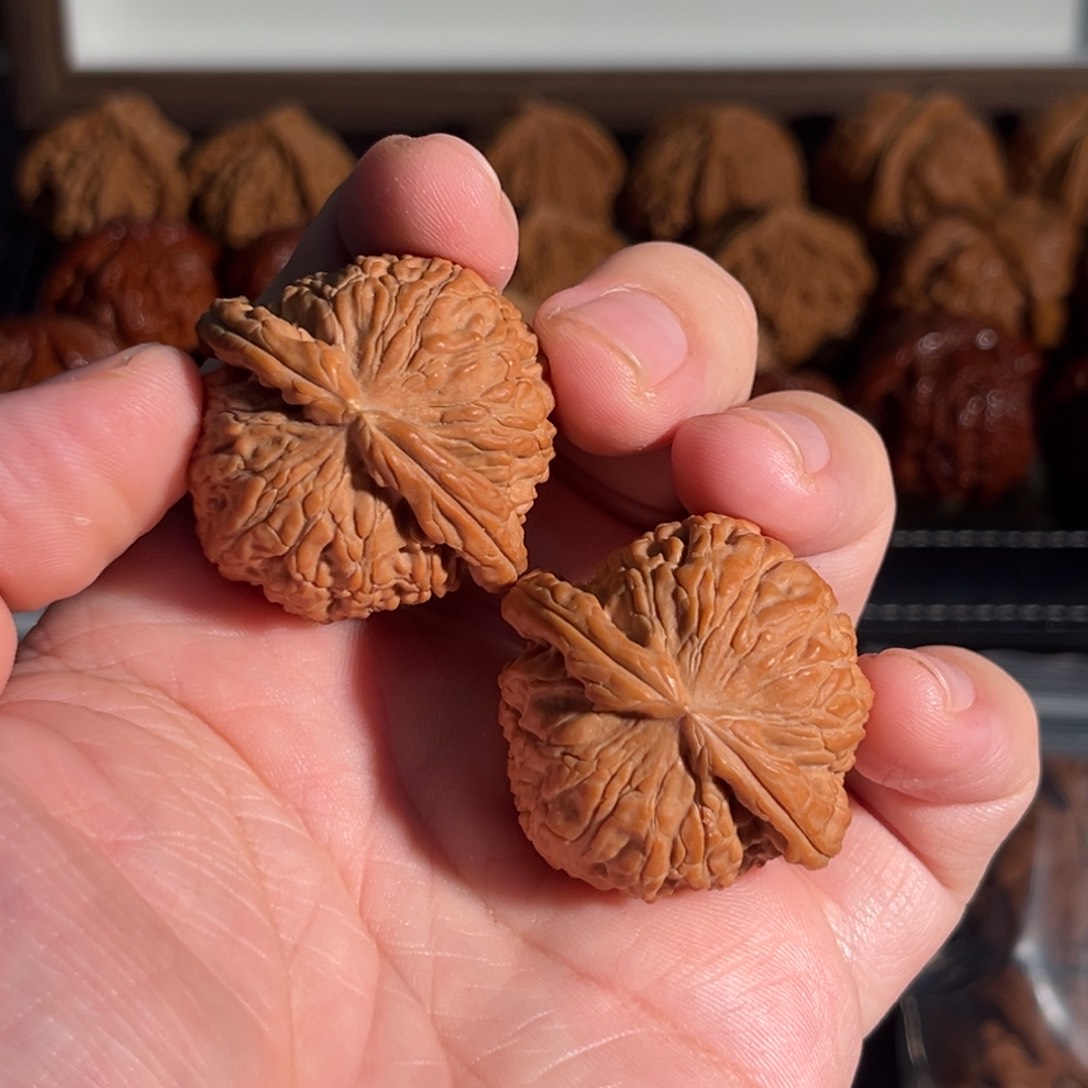 核桃手串/手链38全品闷白