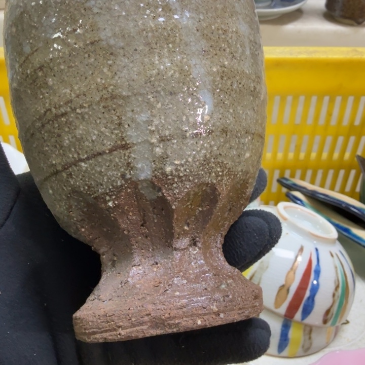 瓷片开播啦…开播啦！