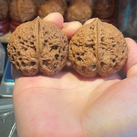 把件文玩核桃王八盖子带彩磕尖43