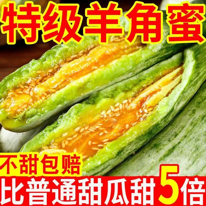 山东头茬羊角蜜甜瓜口感清脆香甜新鲜现摘应季水果脆甜瓜