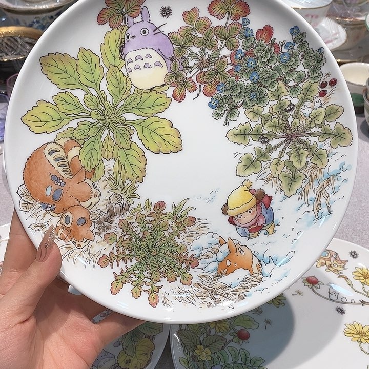 精品进口瓷器瓷片