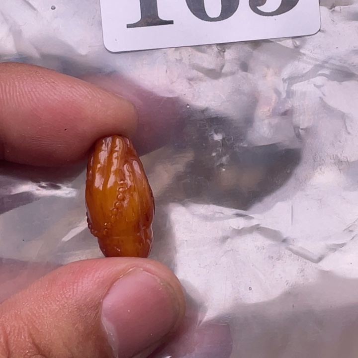 驼骨其他人工养殖
