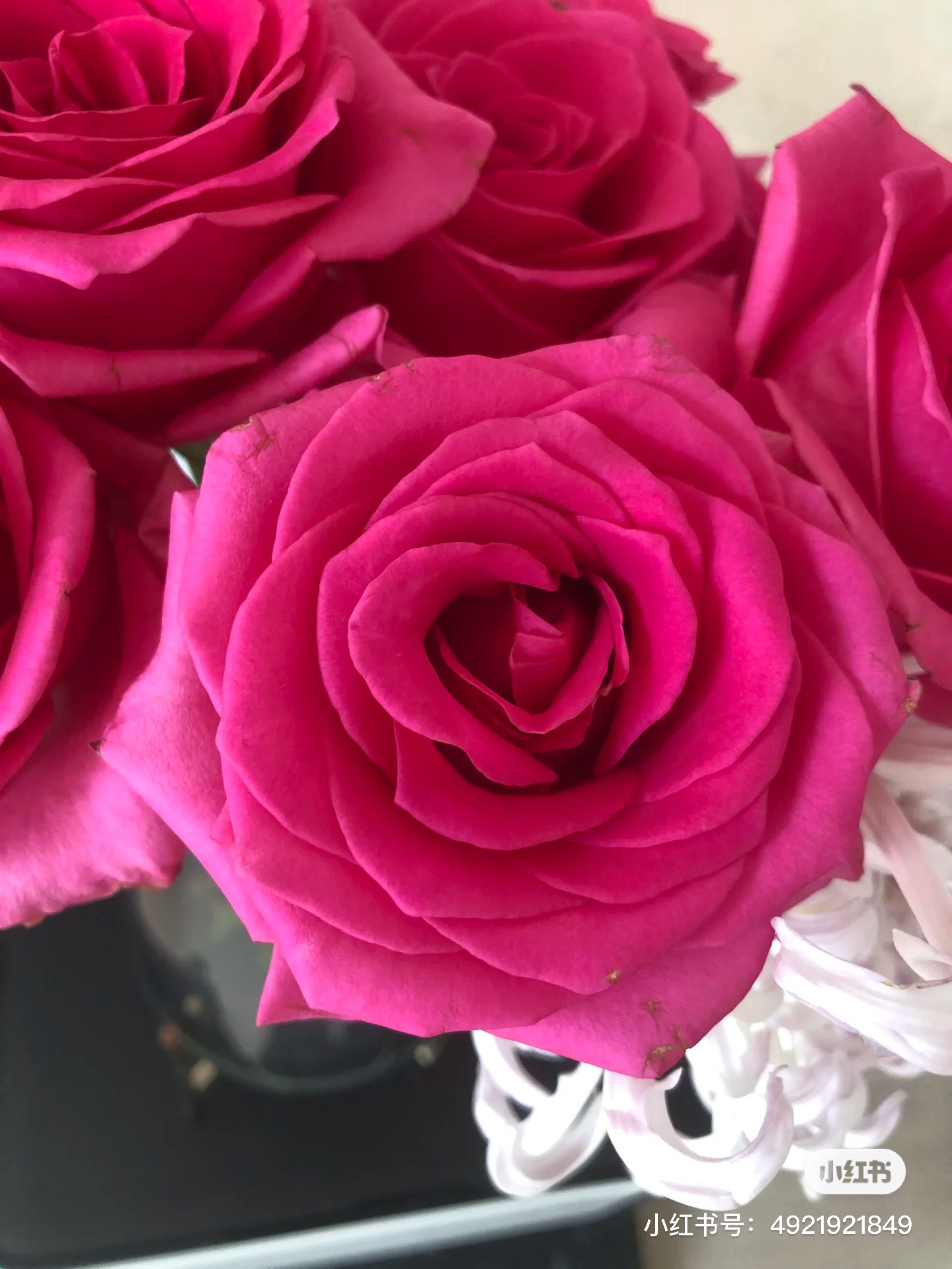 【绿光】克里米亚 任三单顺丰空运包邮鲜切花10支装%20不售后