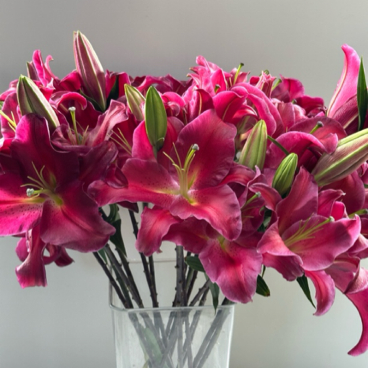 【云南昆明基地源头优选】红色恋人【0°以下请拍保温棉】